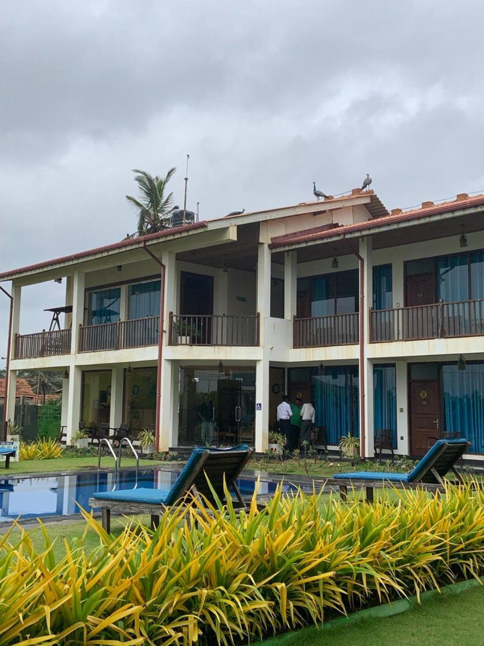 Calypso Sunset Hotel Iranawila Exterior photo